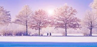 a winter scene with trees and people Picture